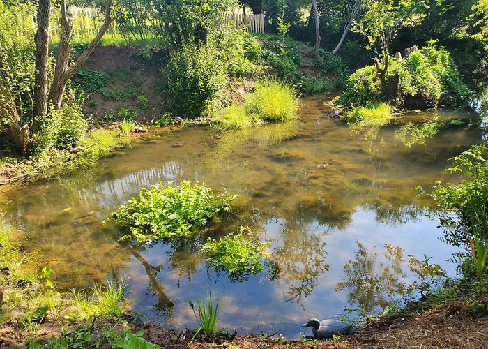 Hébergement de vacances Le Clos Des Sources *