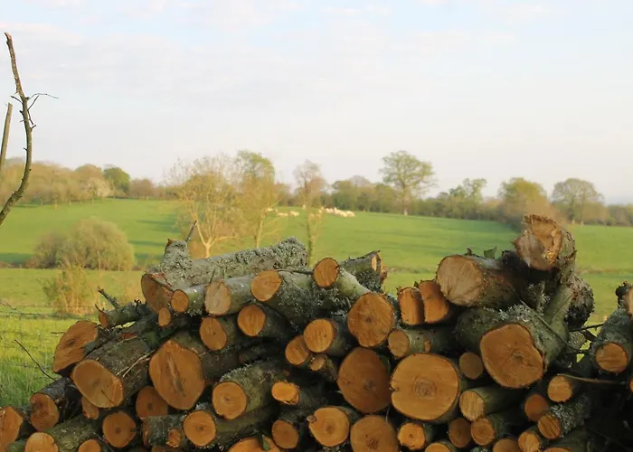 Prázdninový dům Le Clos Des Sources